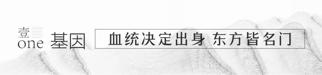 海搏网(中国区)官方直营网站_活动5917