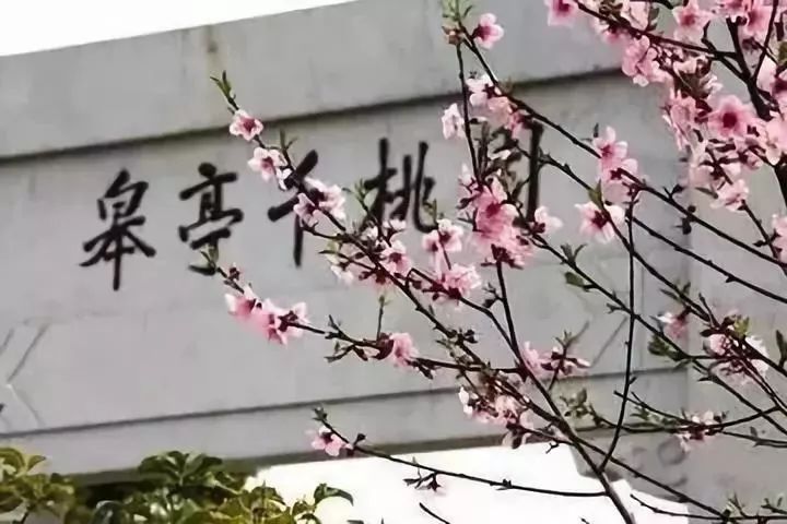 海搏网(中国区)官方直营网站_活动1061